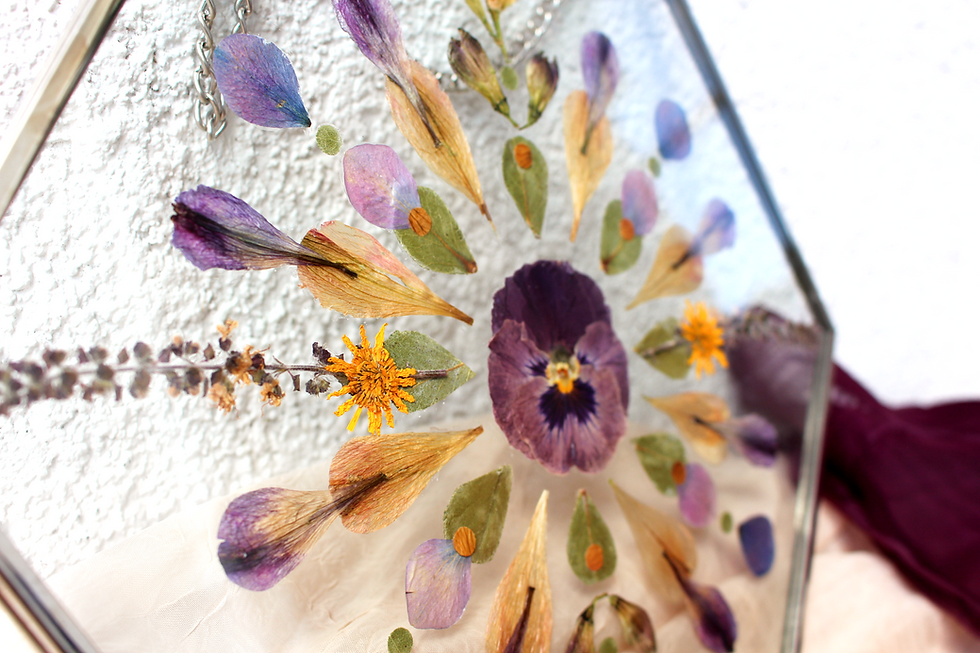 Thumbnail: Pansy Deva