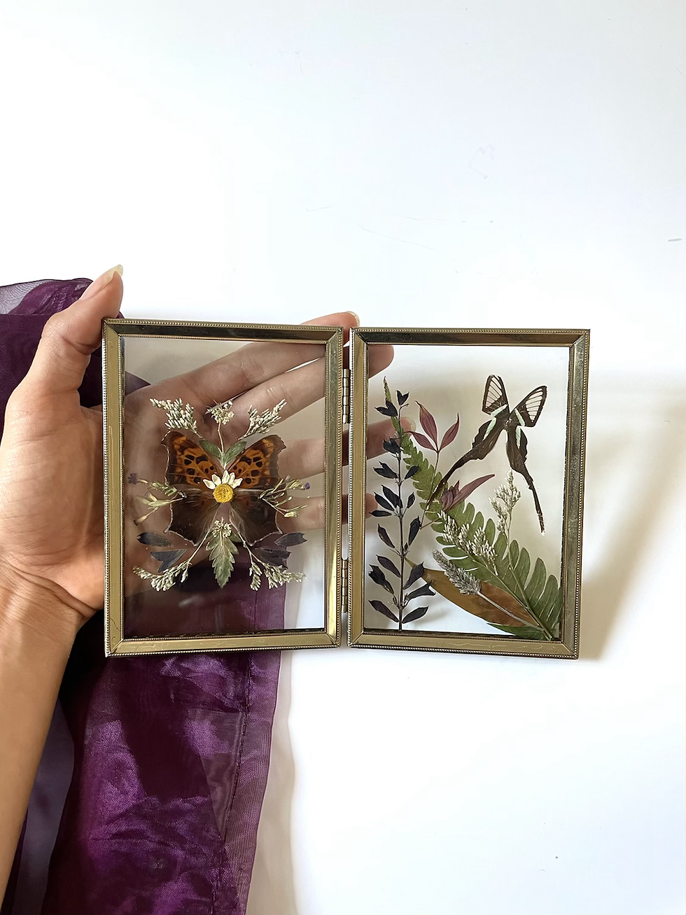 Wildflowers and a Queen