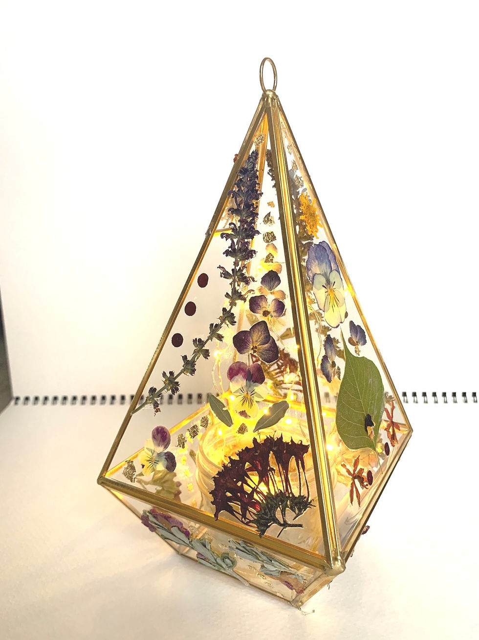 Thumbnail: Faery Lantern 