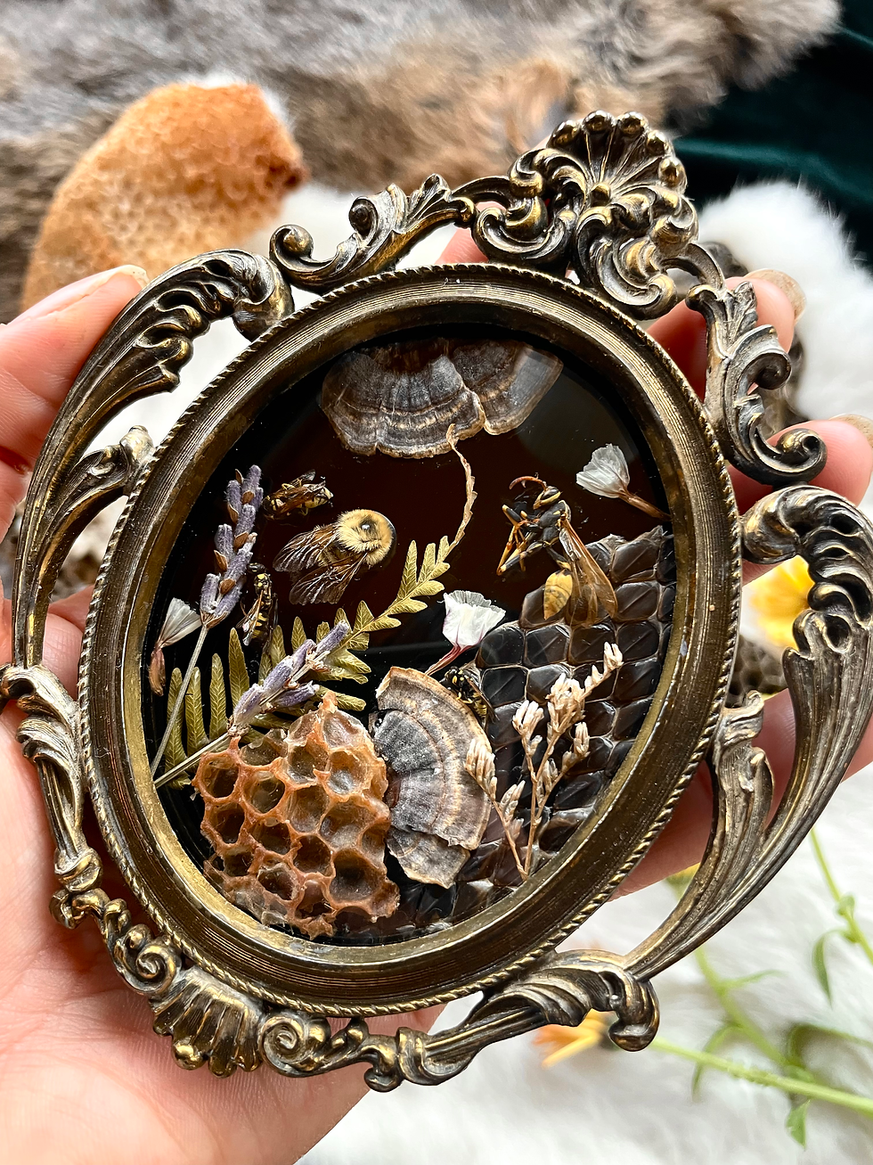 Thumbnail: Hymenoptera Portal