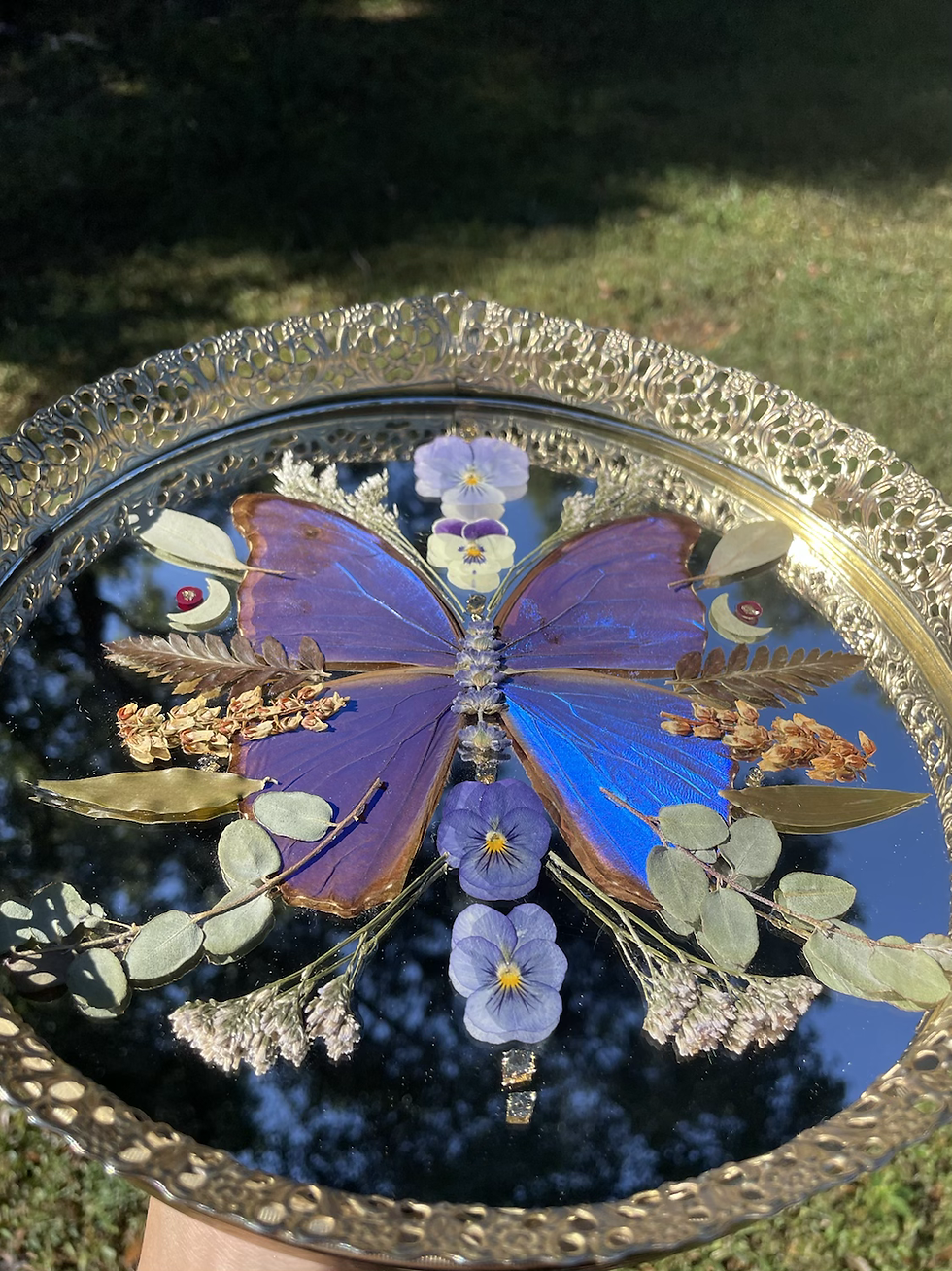 Thumbnail: Blue Morpho Mirror