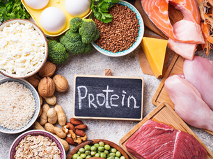 A visual photo of various protein sources with the word "protein" written on top.