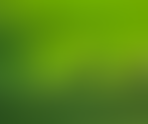 How Did Jesus Grow? Finding a model for our personal growth.