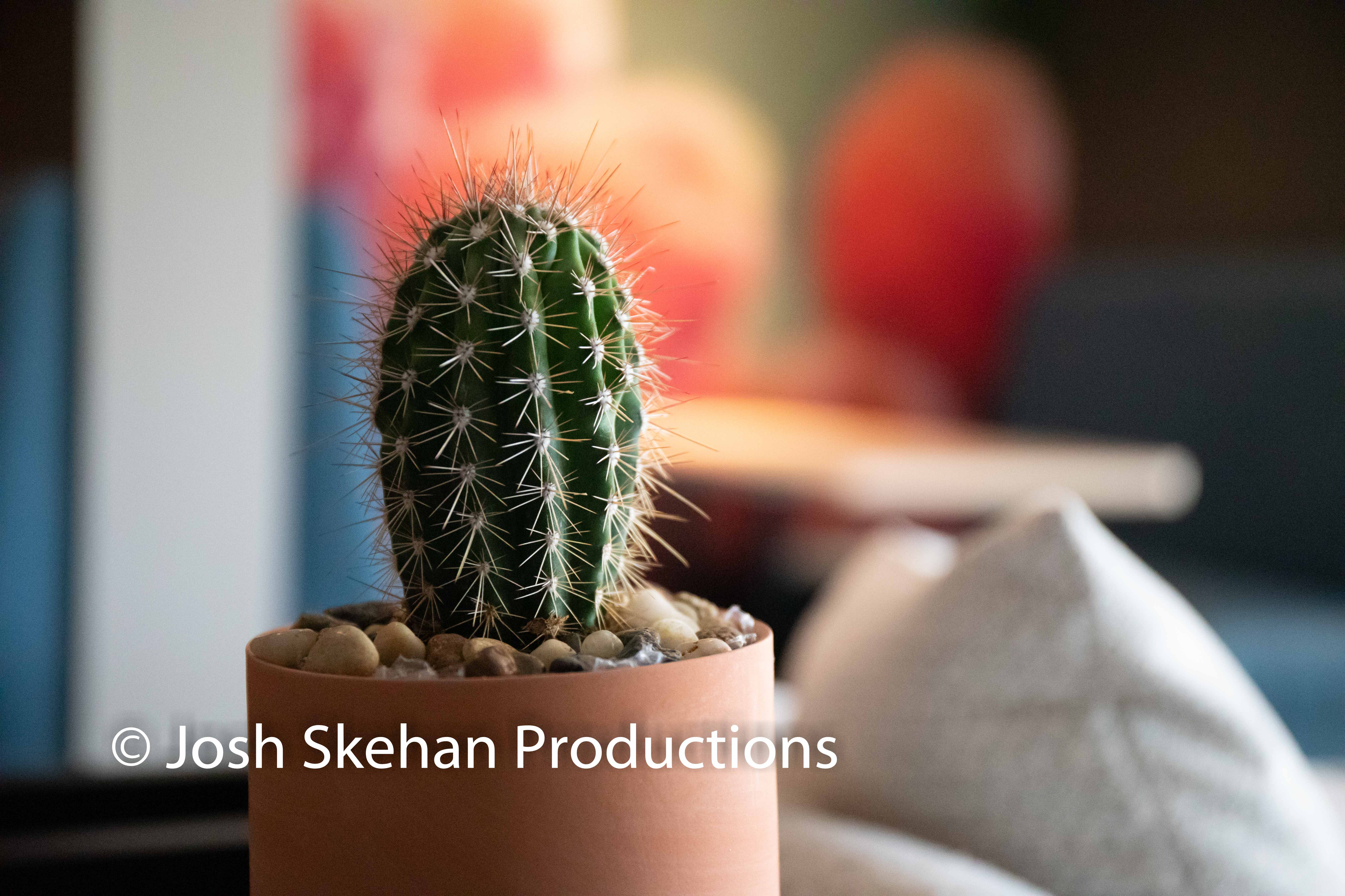Video Production Scottsdale-18