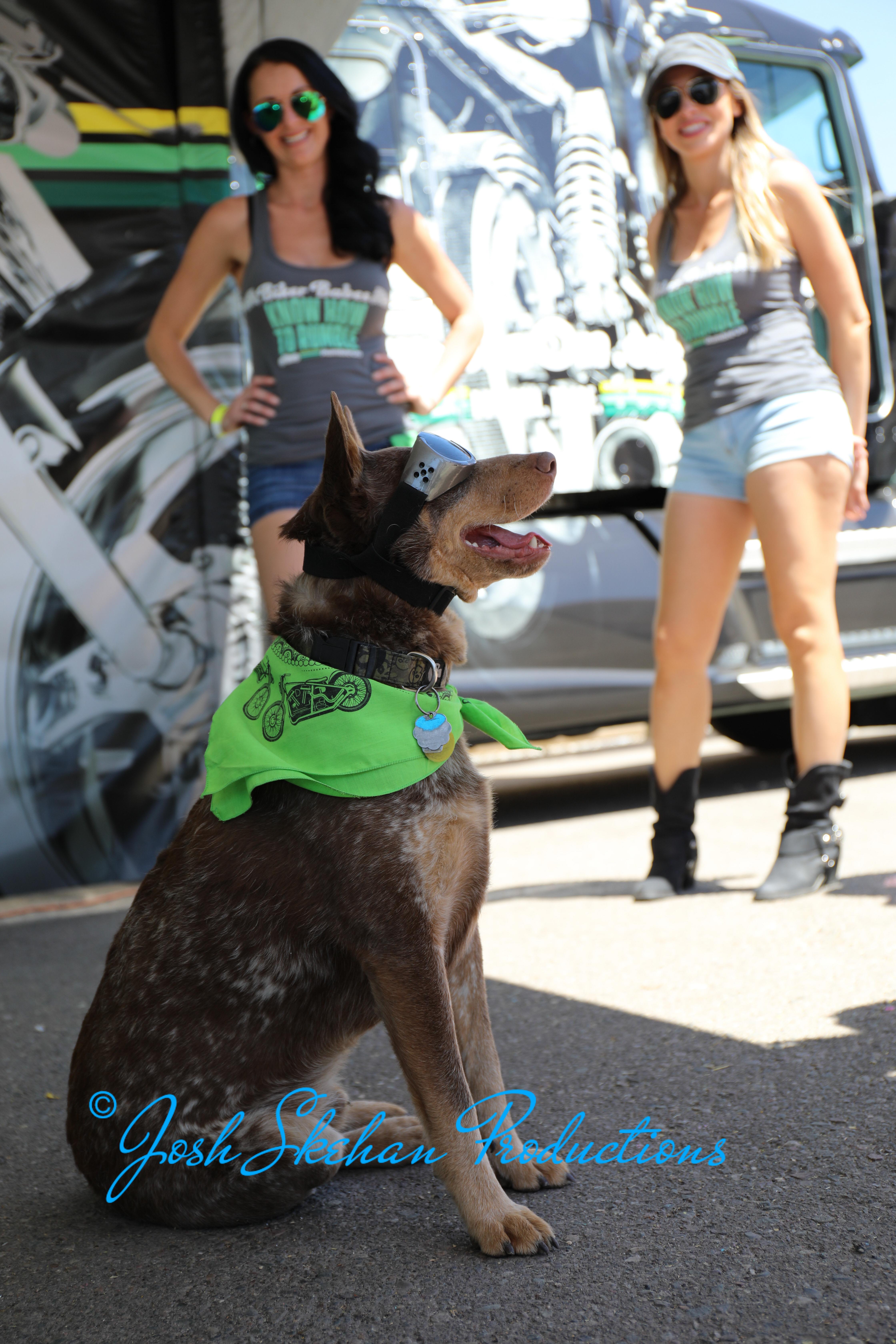 16 event photographer scottsdale