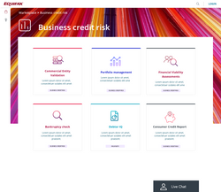 Equifax dashboard - Business credit risk