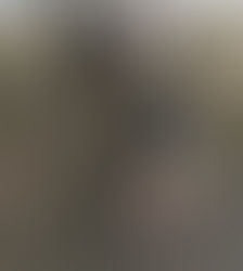 Review - NEW LeMieux Grafter Brushing Boots