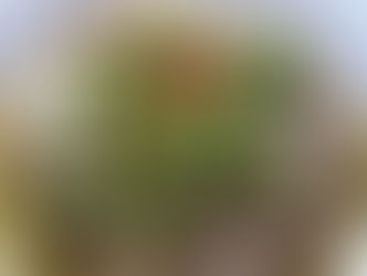 Famous Bicol express