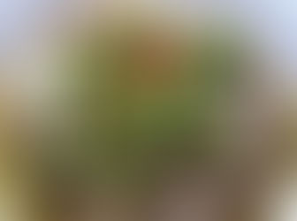 Famous Bicol express