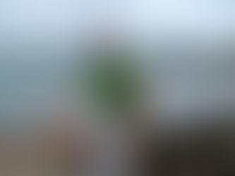 O PORTAL NOVO TEMPO ESTÁ DE CARA NOVA. E SABE POR QUÊ?