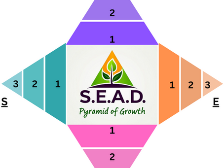 Beyond the Average: Rethinking educational support to help ALL learners reach their full potential