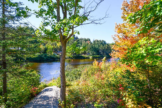 Automne-3.jpg