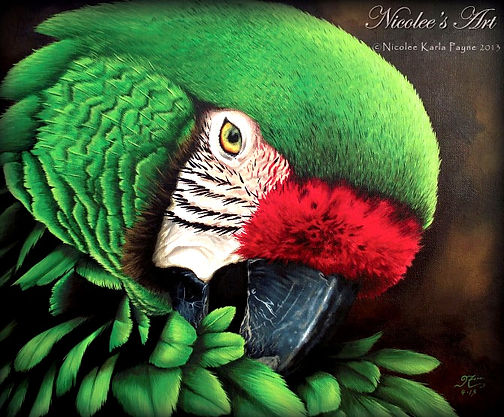 green-macaw_edited_edited.jpg