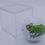 Thumbnail: Individual cubed frog 14