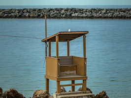 20220220-_DSC3621- CDM Multilines 2 - 2- IG.jpg