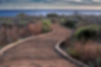 Thumbnail: Wooden boardwalk winding through Crystal Cove’s coastal vegetation toward the ocean horizon under soft, pastel sky.