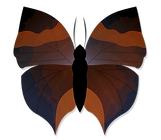 x3.png