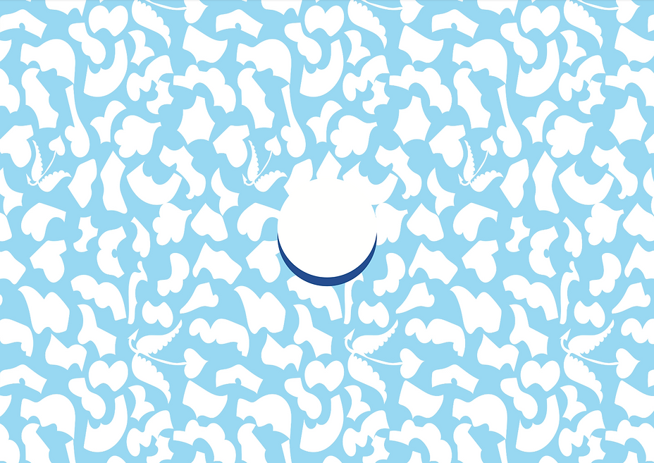 Screenshot 2025-07-23 alle 13.45.23.png