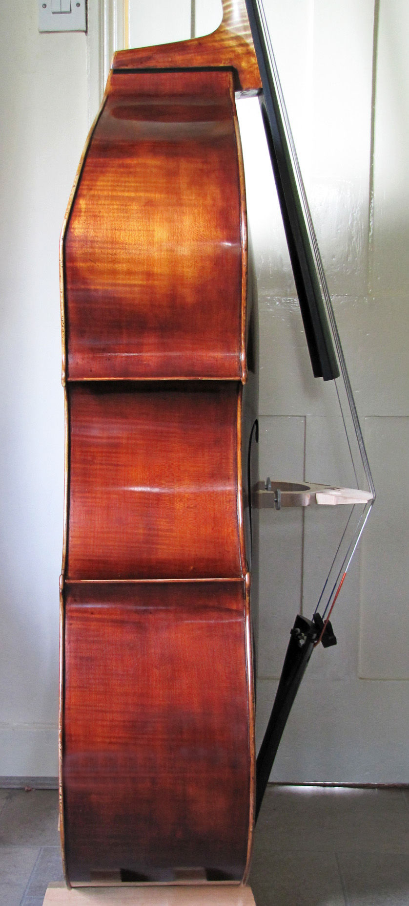 Akos Balazs (ribs)
