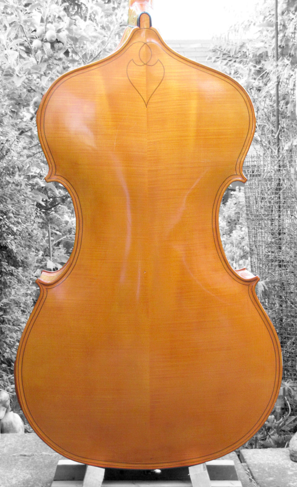 Bedingfield Lion (back)
