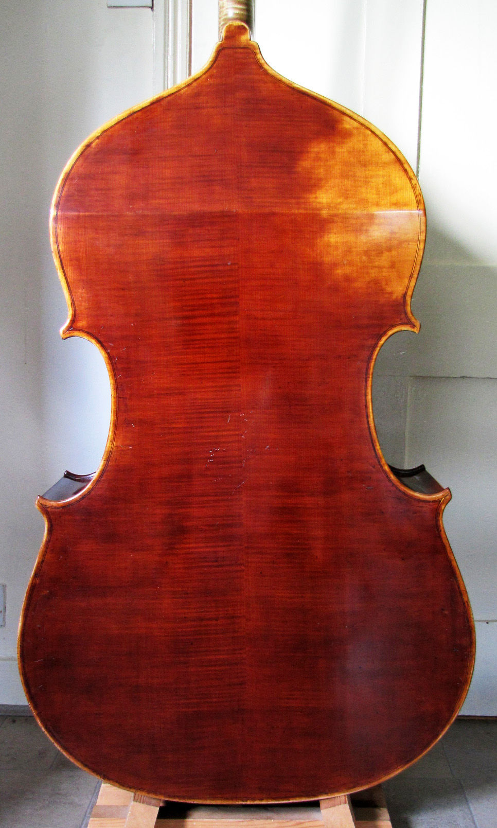 Akos Balazs (back)