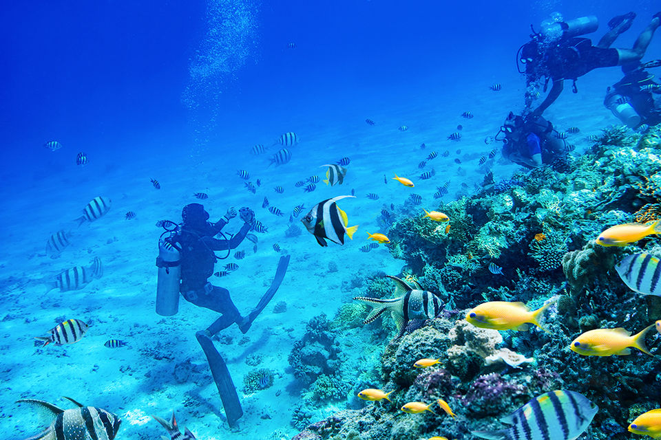 divers-swimming-underwater-with-coral-reefs.jpg