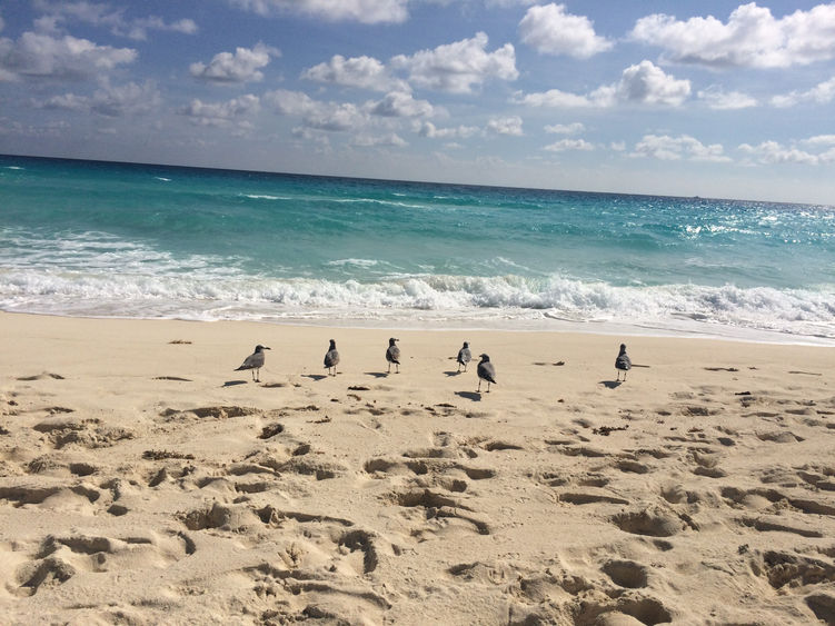 Imprescindibles en Cancún