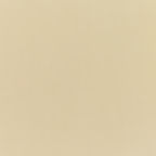 canvas-antique-beige_5422-0000