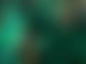 Kına Gecesi Orkestra Fiyatları ve Müzik Grubu Seçim Rehberi