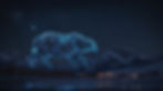 Adobe bear_edited.jpg