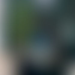 How Can a Comprehensive Loss Prevention System Transform Your Retail Security?