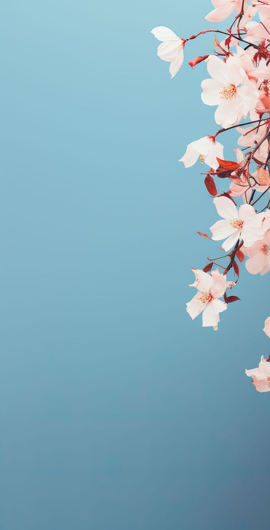 Cherry Blossom_edited_edited_edited.jpg