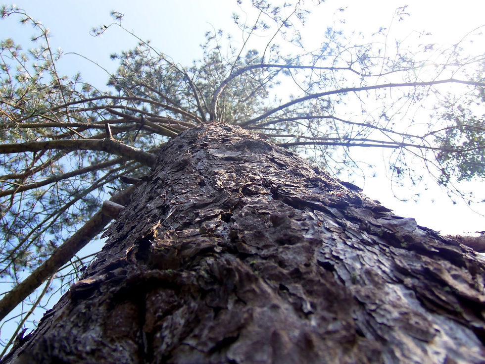 Day Two: Reasons People Don't Like Thinking About God