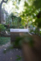 DSC06845_1.jpg