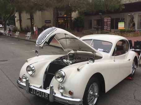 Jaguars are star-makers in Hollywood!