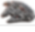 Falcon.png