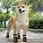 Miniature : ORANGE & GREEN ABSTRACT TREES Non Slip Dog Socks