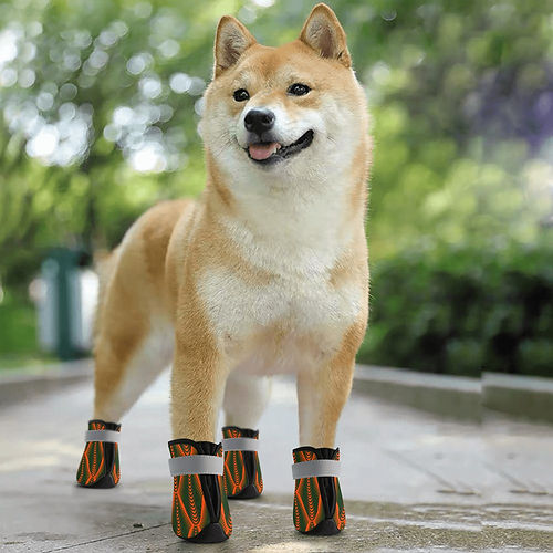 ORANGE & GREEN ABSTRACT TREES Non Slip Dog Socks