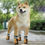 Thumbnail: Paw Protectors "PIZZA" Non Slip Dog Socks