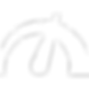 speedometer (1).png