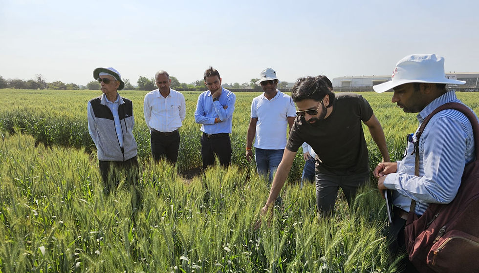 WhatsApp Image 2024-05-09 at 15.47_edited