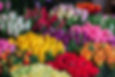 Flower Selection