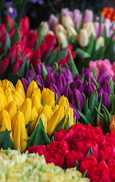 Flower Selection