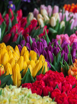 Flower Selection