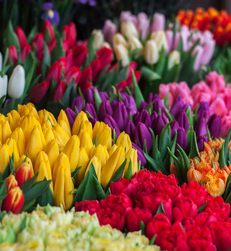 Flower Selection