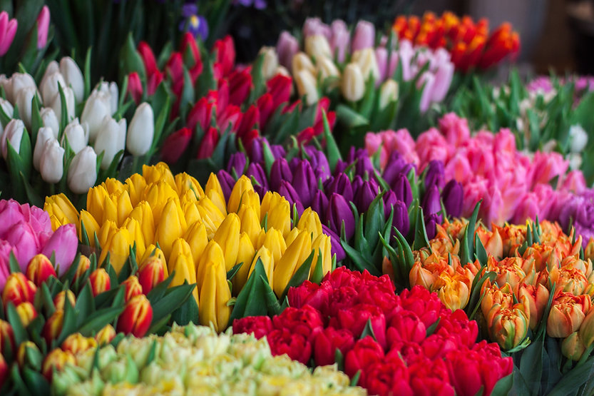 Flower Selection