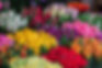 Flower Selection