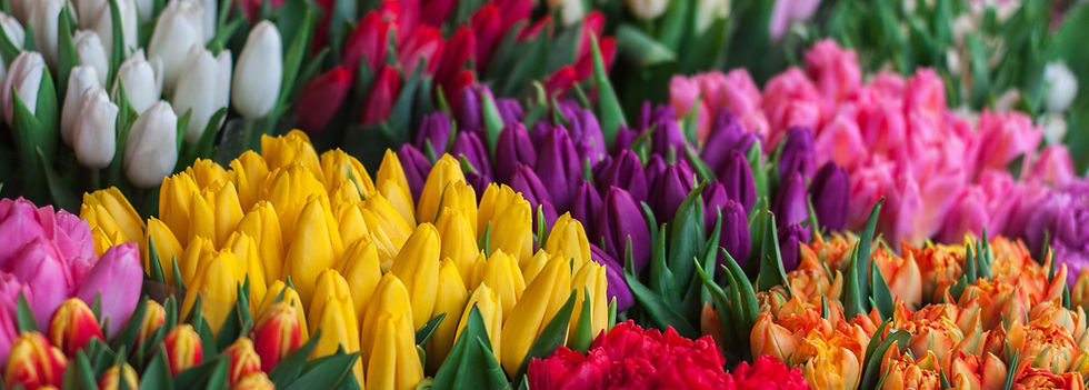 Selección de flores