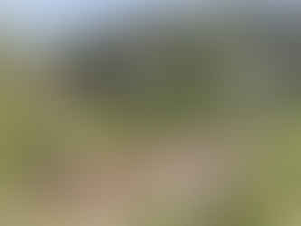 Localiza FGE Occidente restos óseos en arroyo de Carichí