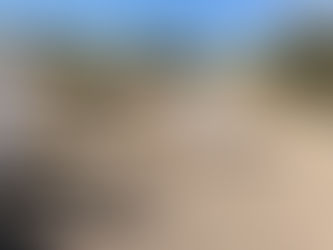 Continúan los trabajos forenses en la zona de “El Willy”